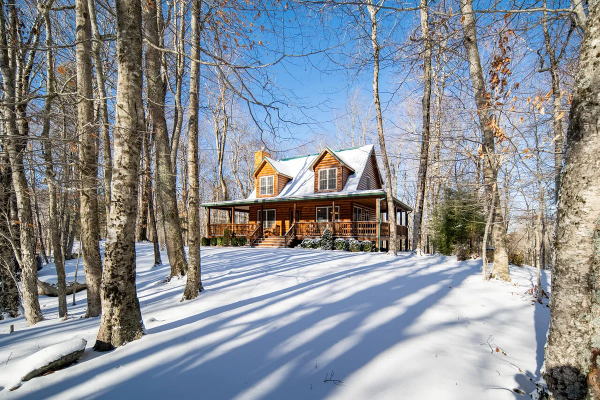 This image captures the exterior of a log cabin surrounded by snow, with a clear blue sky and tall trees framing the property. The snow-covered ground suggests a pristine mountain environment, perfect for outdoor adventures and exploration with pets. The spacious yard and visible porch invite families and their four-legged companions to enjoy the fresh air and natural beauty.
